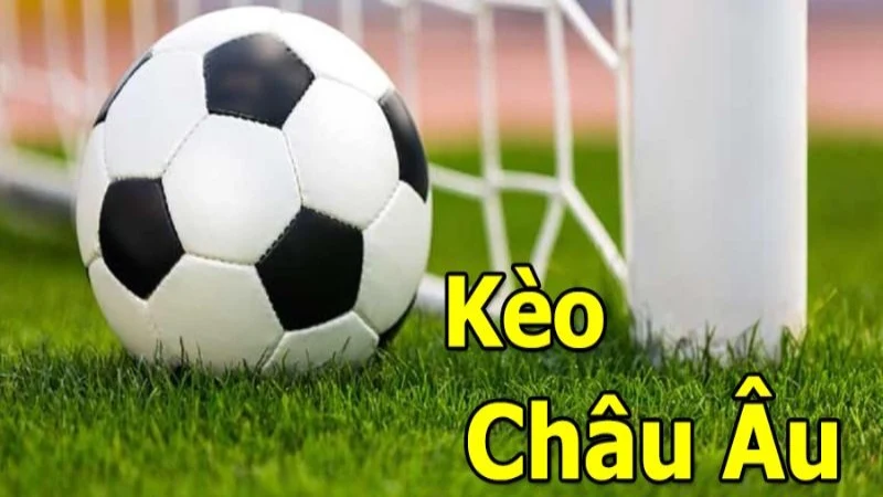 Kinh nghiệm đặt cược kèo 1x2 hiệu quả