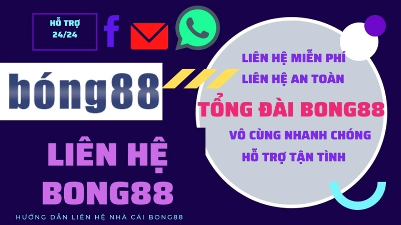 Hướng dẫn liên hệ Bong88 chi tiết - chăm sóc 24_7